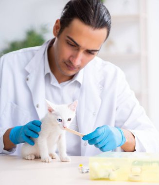 Genç erkek doktor hasta kediyi muayene ediyor.