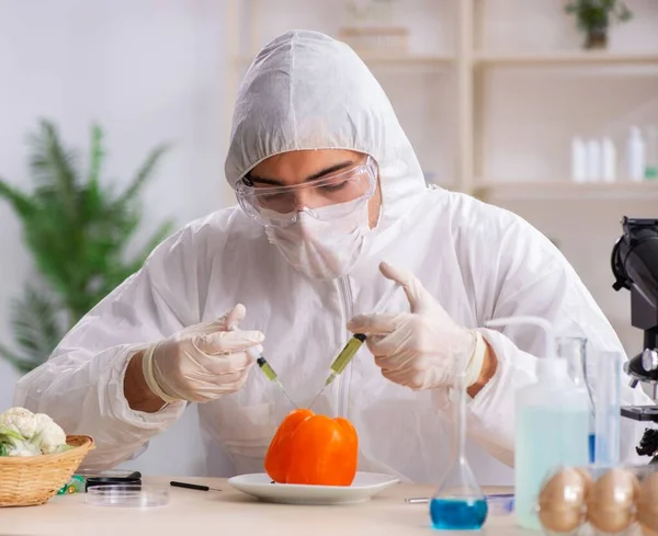 在实验室工作的科学家正在研究Gmo水果和蔬菜 — 图库照片