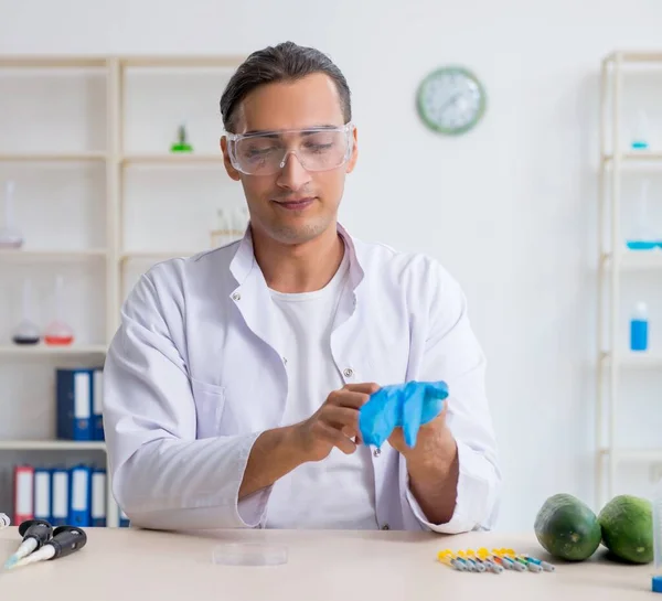 Erkek Beslenme Uzmanı Laboratuarda Sebzeleri Test Ediyor — Stok fotoğraf