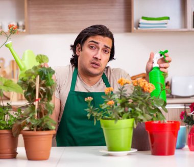 Genç yakışıklı adam evde çiçek yetiştiriyor.