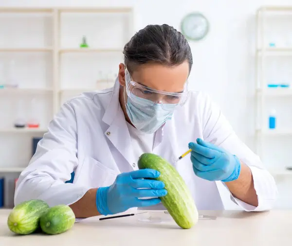전문가가 실험실에서 야채를 검사하는 — 스톡 사진