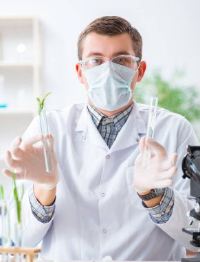 Laboratuarda bitkiler üzerinde çalışan erkek biyokimyacı.