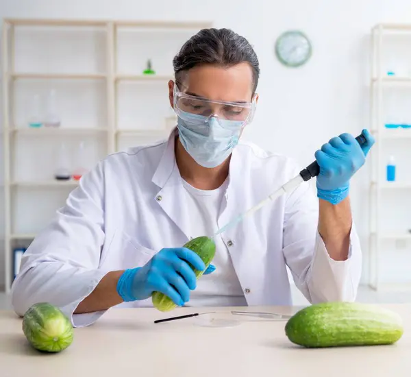 研究室の男性栄養士試験野菜 — ストック写真