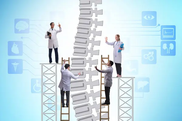 Concepto Médico Con Los Médicos Columna Vertebral — Foto de Stock