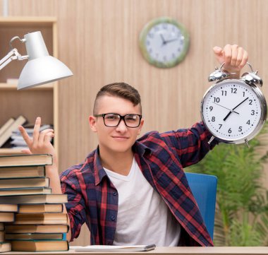 Okul sınavlarına hazırlanan genç öğrenci.