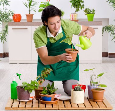 The young male gardener with plants indoors