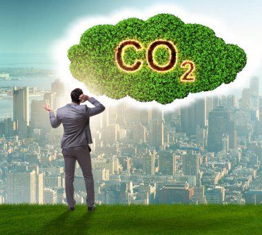 Sera gazı emisyonlarının ekolojik kavramı