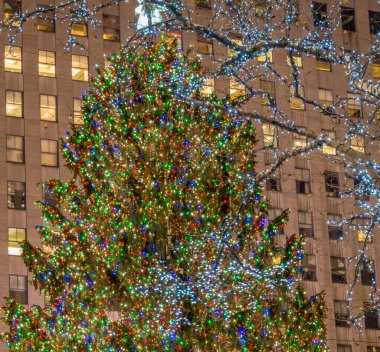 New York - 20 Aralık 2013: Rockefeller Center 20 Aralık ABD'de, New York Noel ağacı. ABD'de en ünlü Noel ağacı Noel ağacı Rockefeller Merkezi olduğunu