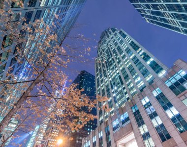 Günbatımında New York Manhattan 'ın gece manzarası