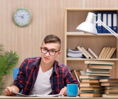 Okul sınavlarına hazırlanan genç öğrenci.