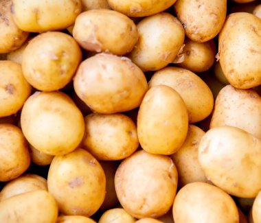 The potatoes at the market display