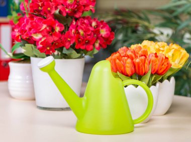 Çiçek saksılarına yerleştirilmiş çeşitli çiçekler.