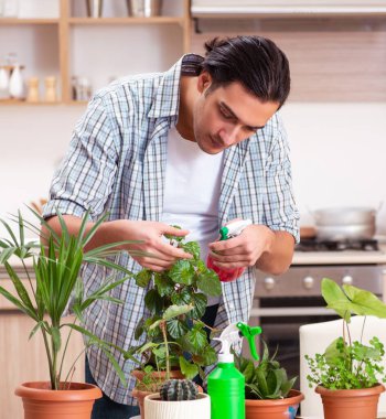 Genç yakışıklı adam evde çiçek yetiştiriyor.