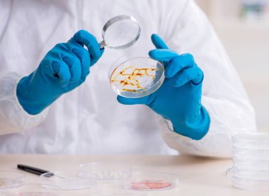 Laboratuvarda çalışan genç erkek kimyager.