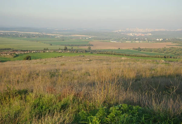 Nationaal Park Tel Gezer Bij Zonsondergang Israël — Stockfoto