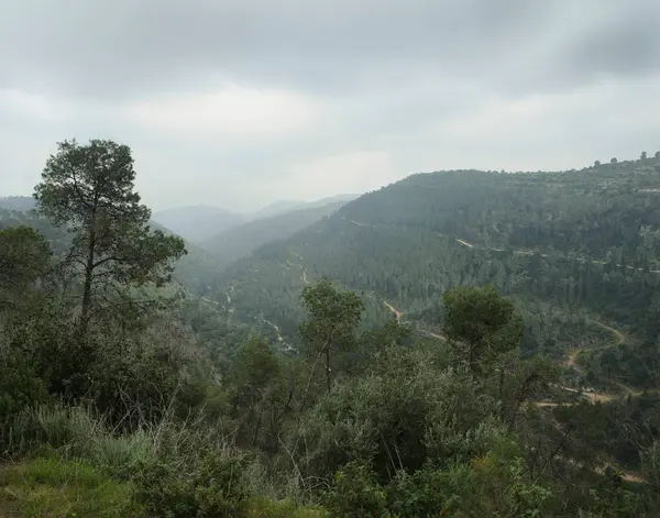 Utsikt Över Jerusalem Hills Från Martyrskogen Hakdoshim Israel — Stockfoto
