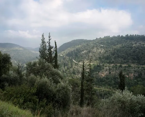 Blick Über Die Jerusalemer Hügel Vom Märtyrerwald Hakdoshim Israel — Stockfoto