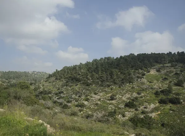 イスラエルの殉教者の森からエルサレムヒルズを見る — ストック写真