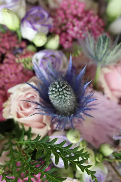 Krásné Květiny Detailní Zobrazení Stock Obrázky