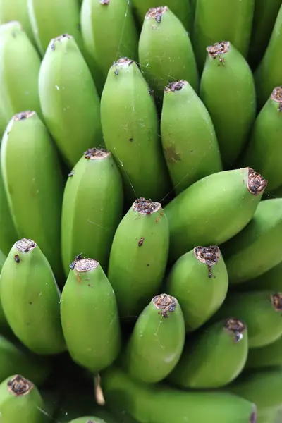 Zöld Banán Finom Stock Fotó
