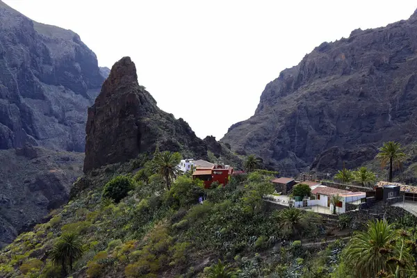 Increíble Vista Del Paisaje Famoso Cañón Maska Isla Tenerife España Fotos de stock libres de derechos