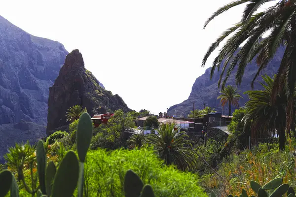 टेनेरिफ़ द्वीप पर प्रसिद्ध मास्का घाटी के लिए अद्भुत परिदृश्य दृश्य। स्पेन रॉयल्टी फ़्री स्टॉक इमेज