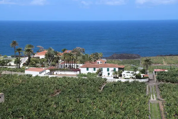 Vista Dell Isola Tenerife Con Paesaggi Incredibili Architettura Locale Foto Stock Royalty Free