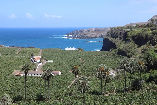Vista Dell Isola Tenerife Con Paesaggi Incredibili Architettura Locale Fotografia Stock
