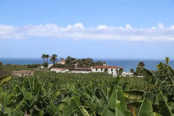 Vue Sur Île Tenerife Avec Paysage Étonnant Une Architecture Locale Images De Stock Libres De Droits
