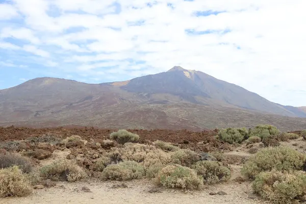Teide Górski Wulkan Słoneczny Poranek Parku Narodowym Teide Obrazy Stockowe bez tantiem
