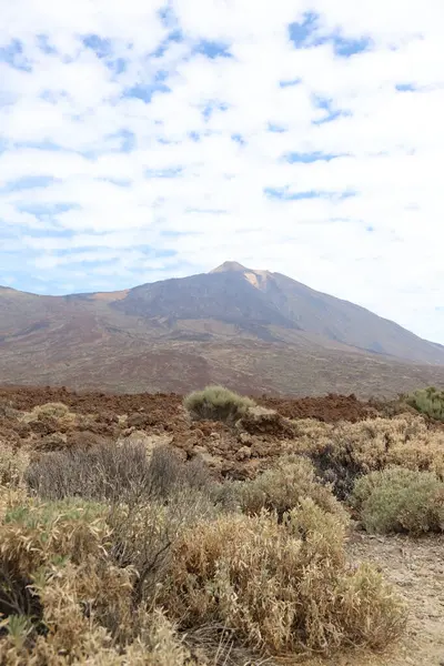 Volcan Montagne Teide Matin Ensoleillé Dans Parc National Teide Images De Stock Libres De Droits