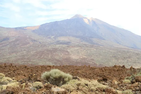 Teide Górski Wulkan Słoneczny Poranek Parku Narodowym Teide Zdjęcie Stockowe