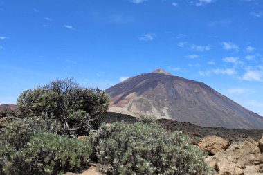Kanarya adası manzarası. volkan, İspanya, tenerife