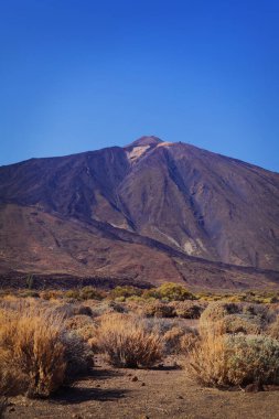   mountain Pico del Teide on Tenerife , Canary Islands, Spain clipart