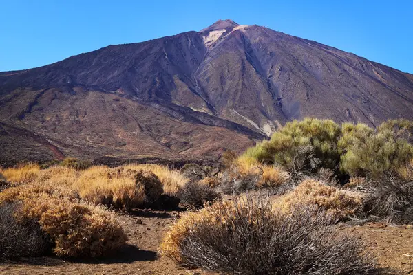 Tenerife 'deki Pico del Teide Dağı, Kanarya Adaları, İspanya