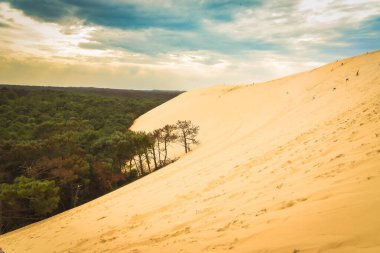 Pilat Dune 'u, Fransa' nın Avrupa 'daki en büyük kum tepesi. Yüksek kaliteli fotoğrafçılık.