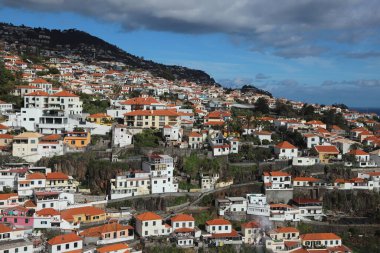 Güzel manzara, Madeira Adası, Portekiz
