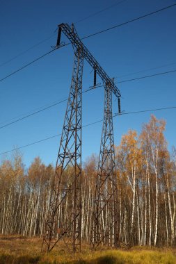 Sonbahar ormanında elektrik hattı. Destek veya kokteyl sayısı. Elektrik..