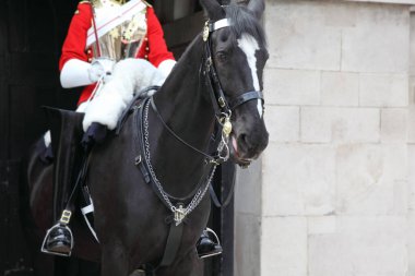 7 Haziran 2010 'da Londra' da, kırmızı paltolu ve siyah çizmeli muhafız altında siyah at.