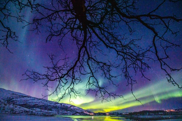Increíble Actividad Aurora Boreal Sobre Costa Noruega —  Fotos de Stock