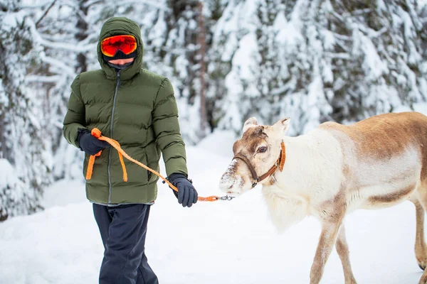 Cute Nastolatek Chłopiec Spacery Reniferów Lesie Zimowym Laponii Finlandia — Zdjęcie stockowe
