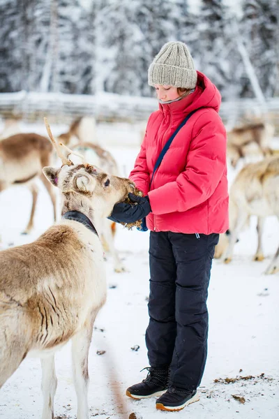 芬兰拉普兰一个阳光明媚的冬日 年龄在十几岁以下的少女在户外给饲养员喂食 — 图库照片