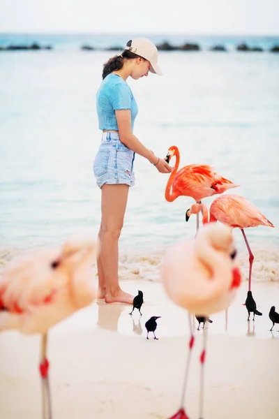 Teenage Girl Pink Flamingos Beach Aruba — Stock Photo, Image