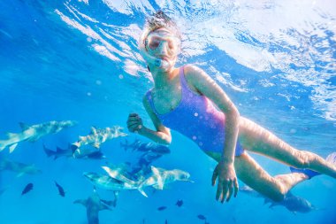 Maldivler 'de hemşire köpekbalıklarıyla açık bir tropikal suda şnorkelle yüzen genç bir kızın sualtı fotoğrafı.