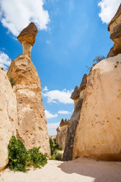Pasabag Szerzetesek Völgye Cappadocia Törökország Egyedülálló Sziklaformációkkal Tündérkéményekkel — Stock Fotó