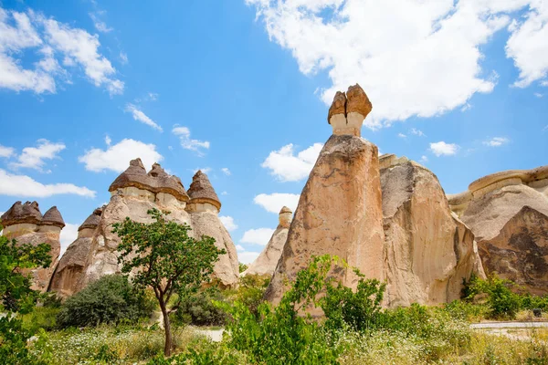 Pasabag Szerzetesek Völgye Cappadocia Törökország Egyedülálló Sziklaformációkkal Tündérkéményekkel — Stock Fotó
