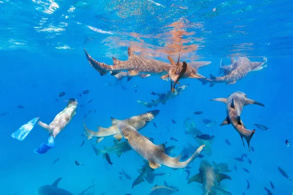 Podvodní Fotografie Mladé Ženy Šnorchlování Čisté Tropické Vodě Sestřičkami Žraloky — Stock fotografie