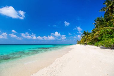Maldivler 'deki egzotik adada güzel tropikal plaj