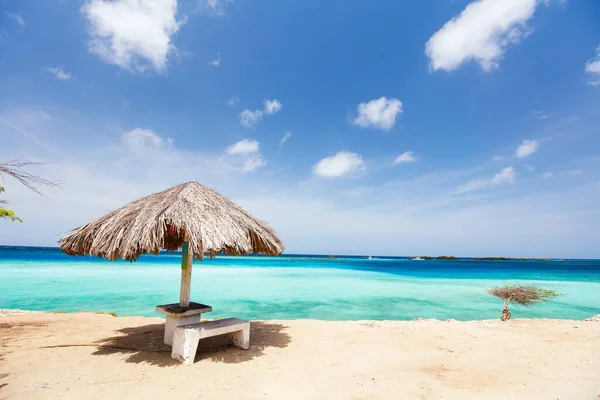 Parasols Idyllic Tropical Beach White Sand Turquoise Ocean Water Aruba — Stok fotoğraf