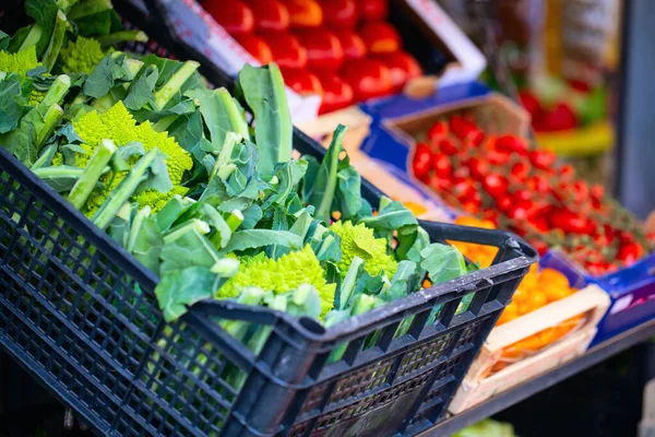 屋外市場で新鮮な有機ハーブや野菜の閉鎖 — ストック写真